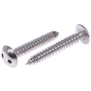 Sicherheitsschraube Rundkopf 2-Loch Blechgewinde Edelstahl A2