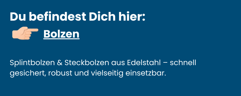 Kategorie-Bolzen-aus-Edelstahl